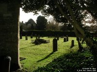 Orcheston St. Mary - photo: 169