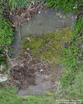 Oaksey - photo: 0020