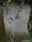 Oaksey - photo: 0143
