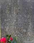 Oaksey - photo: 0169