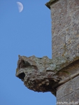Oaksey - photo: 0306