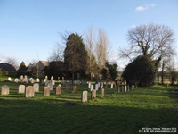 Oaksey - photo: 0375