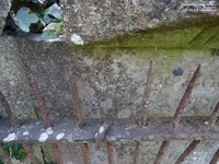 Ogbourne St. Andrew - photo: 0020