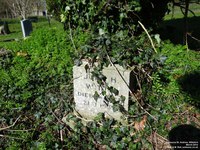Ogbourne St. Andrew - photo: 0095