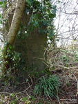 Ogbourne St. Andrew - photo: 0120