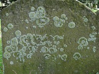 Ogbourne St. Andrew - photo: 0125