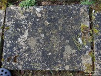 Ogbourne St. Andrew - photo: 0193