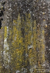 Ogbourne St. Andrew - photo: 0227