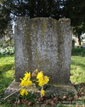 Ogbourne St. Andrew - photo: 0249