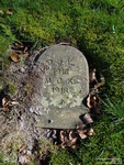 Ogbourne St. Andrew - photo: 0265