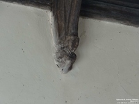 Ogbourne St. Andrew - photo: 0390