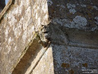 Ogbourne St. Andrew - photo: 0454