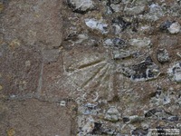 Ogbourne St. Andrew - photo: 0489