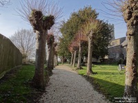 Ogbourne St. Andrew - photo: 0503