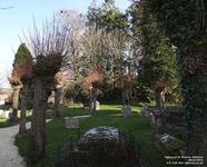 Ogbourne St. Andrew - photo: 0507