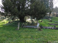 Ogbourne St. Andrew - photo: 0520
