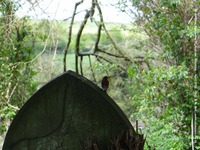 Ogbourne St. Andrew - photo: 0788