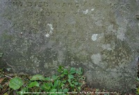 Ogbourne St. Andrew - photo: 0851