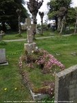 Ogbourne St. Andrew - photo: 0884
