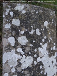 Ogbourne St. Andrew - photo: 0929
