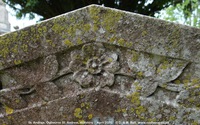 Ogbourne St. Andrew - photo: 1037