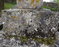 Ogbourne St. Andrew - photo: 1274