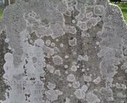 Potterne - photo: 00013