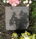 Potterne - photo: 00048