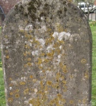 Potterne - photo: 00068