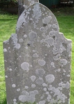 Potterne - photo: 00119
