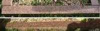 Potterne - photo: 00129