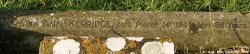 Purton - photo: 0210