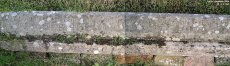 Purton - photo: 0623