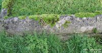 Purton - photo: 0674