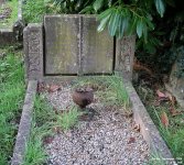 Purton - photo: 0804