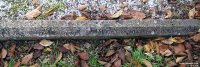 Purton - photo: 0808