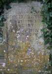 Purton - photo: 0881