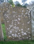 Purton - photo: 0920