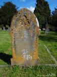 Purton - photo: 1020
