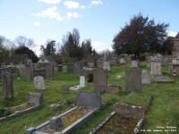 Purton - photo: 1499