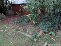 Queenhill - photo: 00093