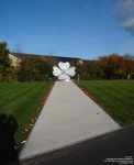 Royal Wootton Bassett - photo: 0112