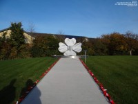 Royal Wootton Bassett - photo: 0113