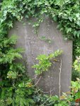 Royal Wootton Bassett - photo: 0077