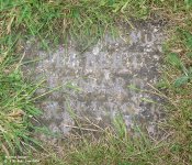Royal Wootton Bassett - photo: 0151