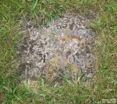 Royal Wootton Bassett - photo: 0179
