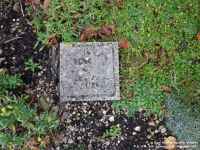 Royal Wootton Bassett - photo: 0008