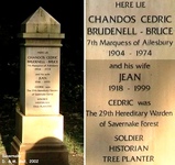 Savernake - photo: D00002