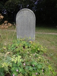Savernake - photo: 00034