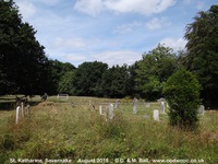 Savernake - photo: 00043